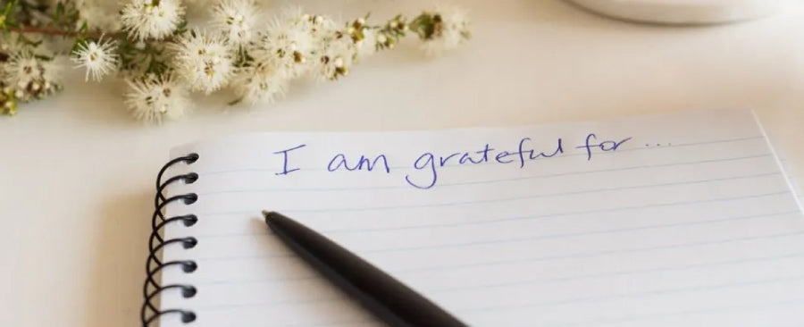 National Gratitude Month: Embracing the Spirit of Thanksgiving All November Long